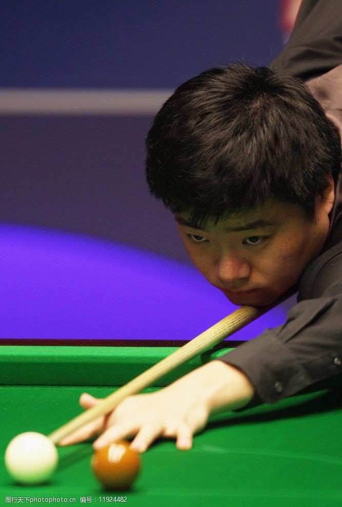 他们推出的 他们推出的