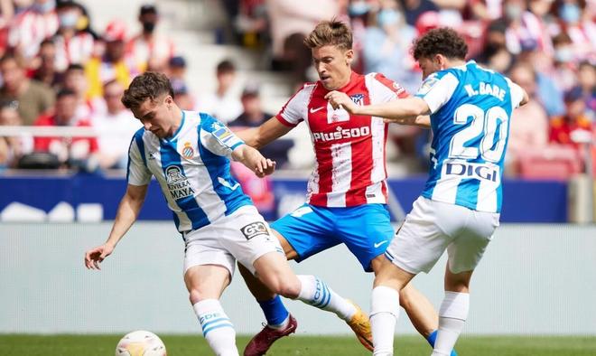 的操作并不 的操作并不